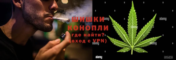 шишки Балахна
