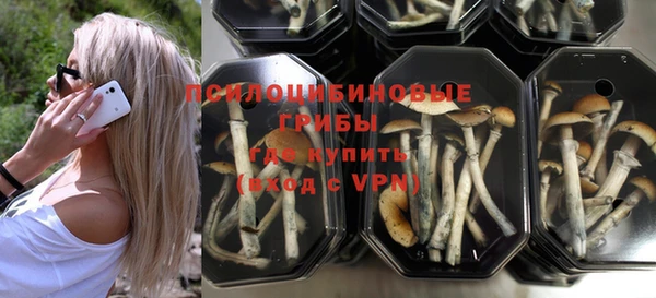 прущие крисы Слюдянка